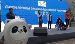 2022年吉祥物是 2022年冬奥会吉祥物狗的含义是什么
